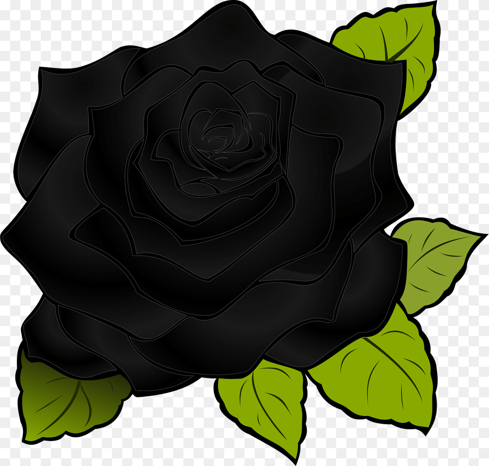 Black Rose Clipart, Flower, Plant, Leaf Png Image