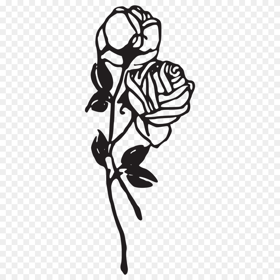 Black Rose Drawing Clip Art, Stencil, Flower, Plant Free Png