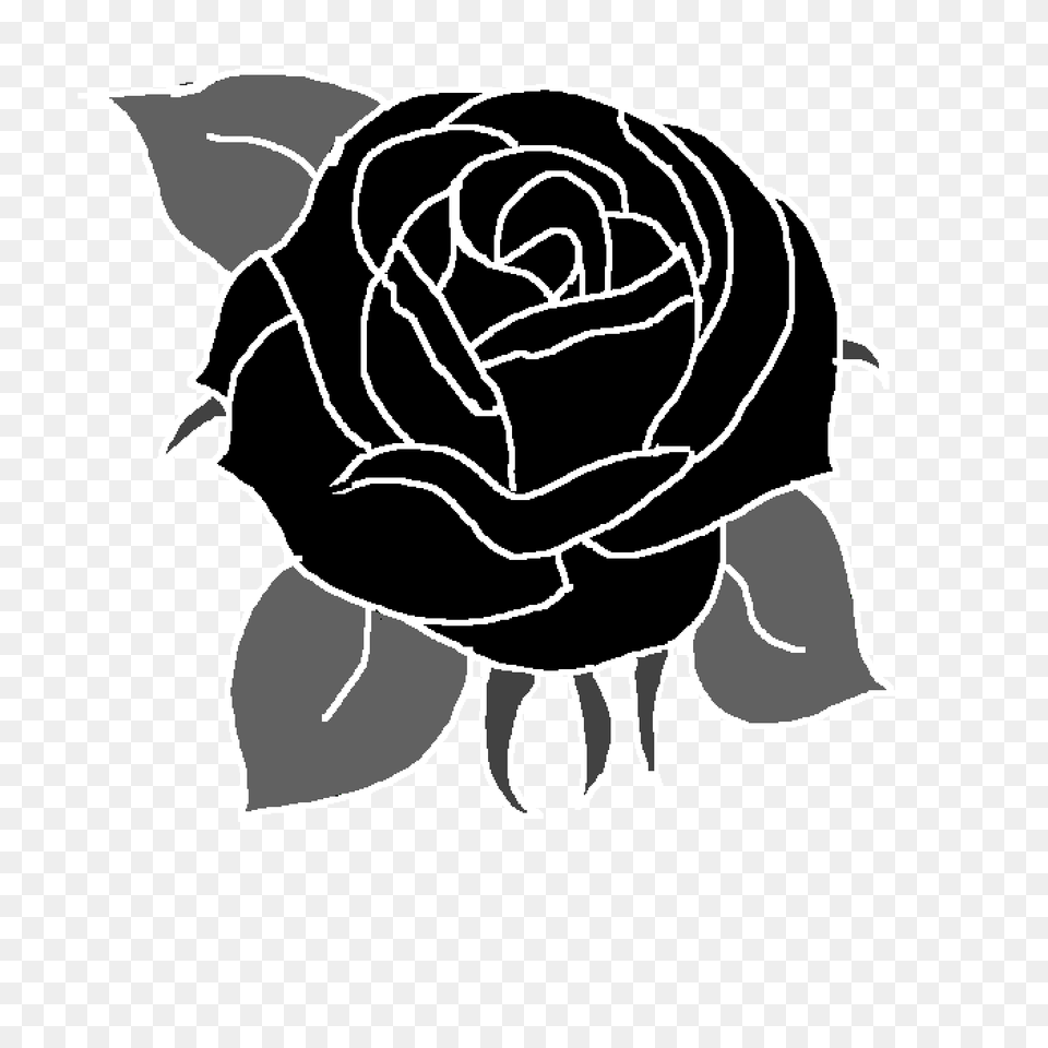 Black Rose Illustration, Flower, Plant, Stencil, Art Png