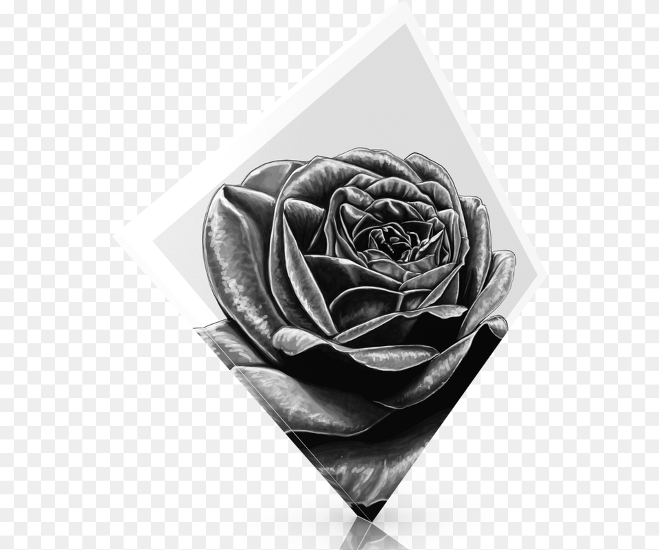 Black Rose Lovely, Flower, Plant, Art, Drawing Free Png Download