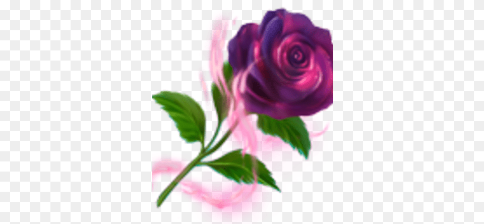 Black Rose Lovely, Art, Plant, Pattern, Graphics Png