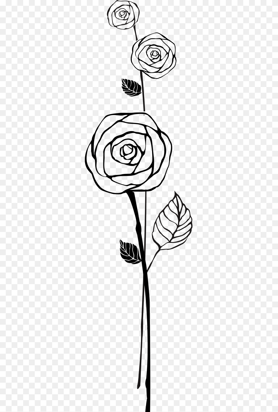 Black Rose Outline, Silhouette, Cross, Symbol, Lighting Png