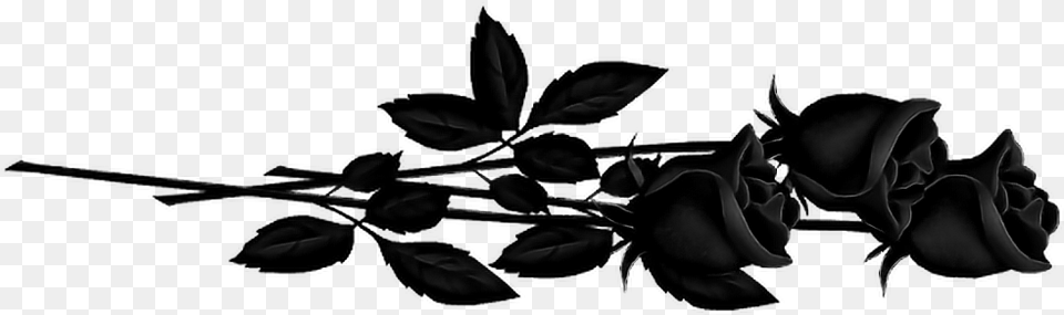 Black Rose Rosa Blackrose Freetoedit Red Roses Free Transparent Png