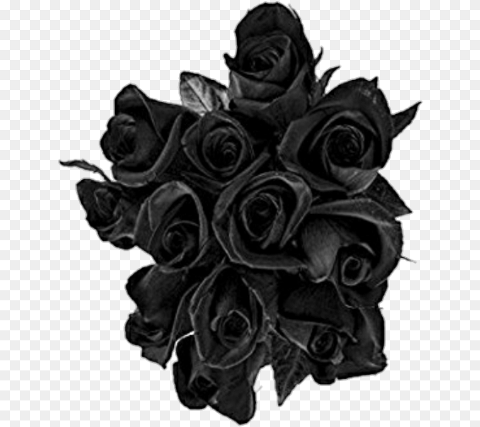 Black Rose Roses Buquet Transparent Black Rose, Art, Flower, Plant, Flower Arrangement Png