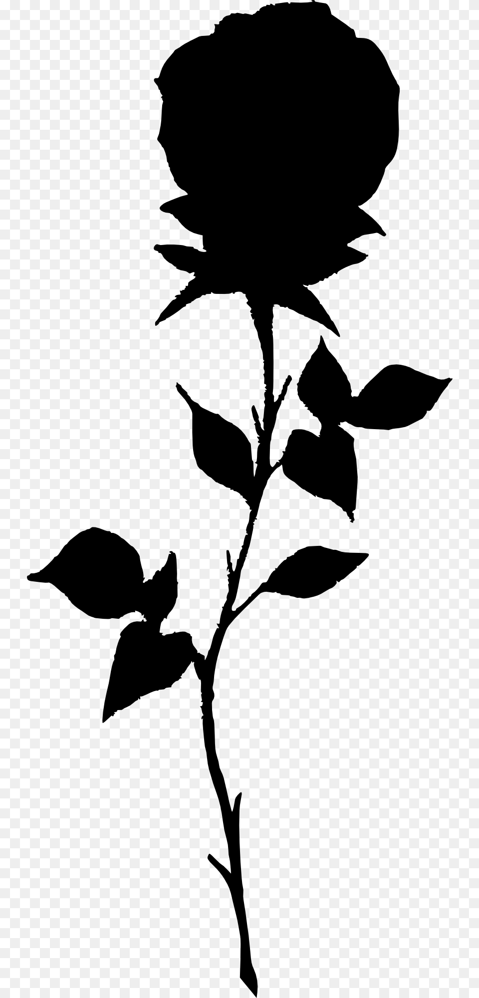 Black Rose Silhouette, Leaf, Plant, Stencil, Person Free Png