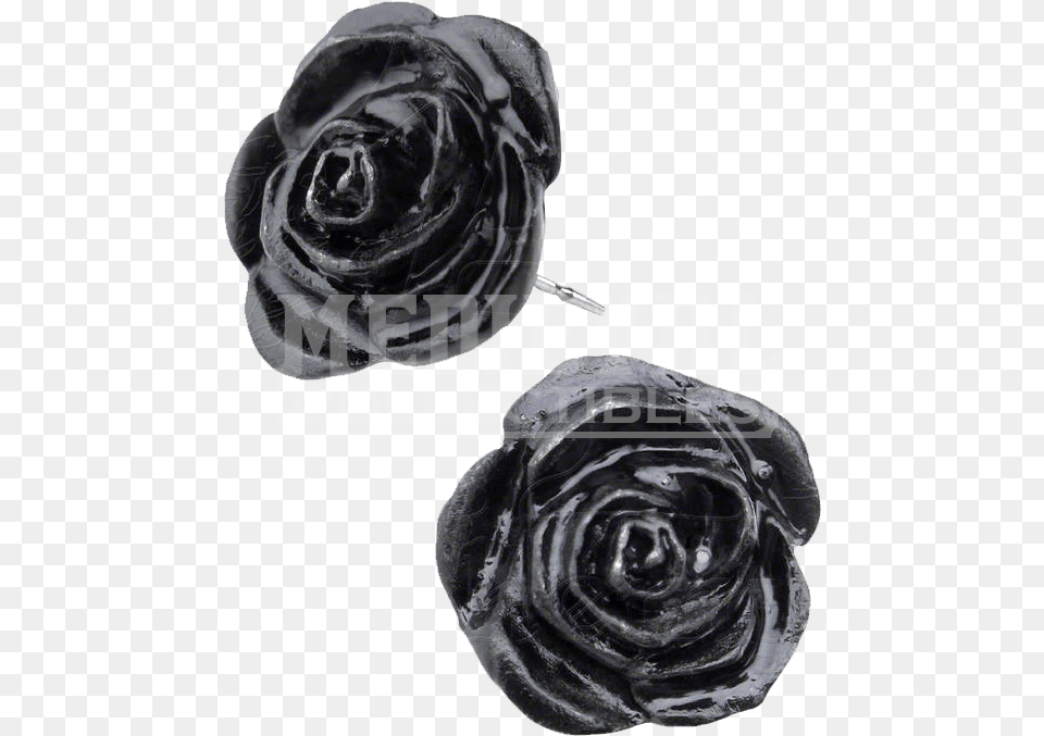 Black Rose Stud Earrings Black Rose Earrings, Flower, Plant, Accessories Free Png