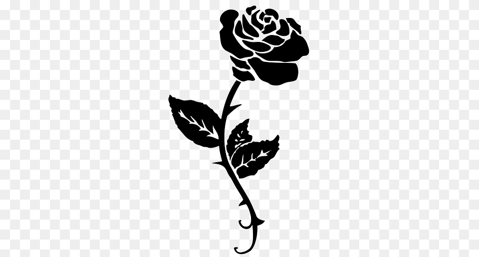 Black Rose Tattoo, Silhouette, Stencil, Animal, Cat Free Png Download