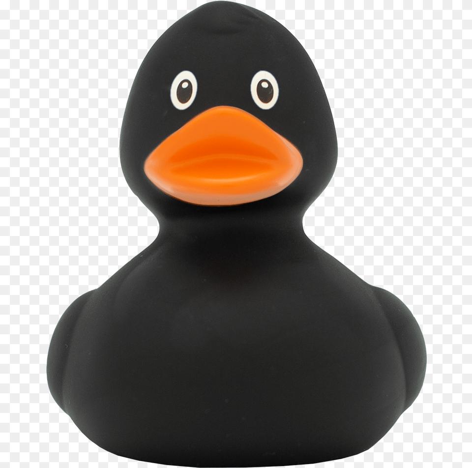 Black Rubber Duck, Animal, Beak, Bird Free Png Download
