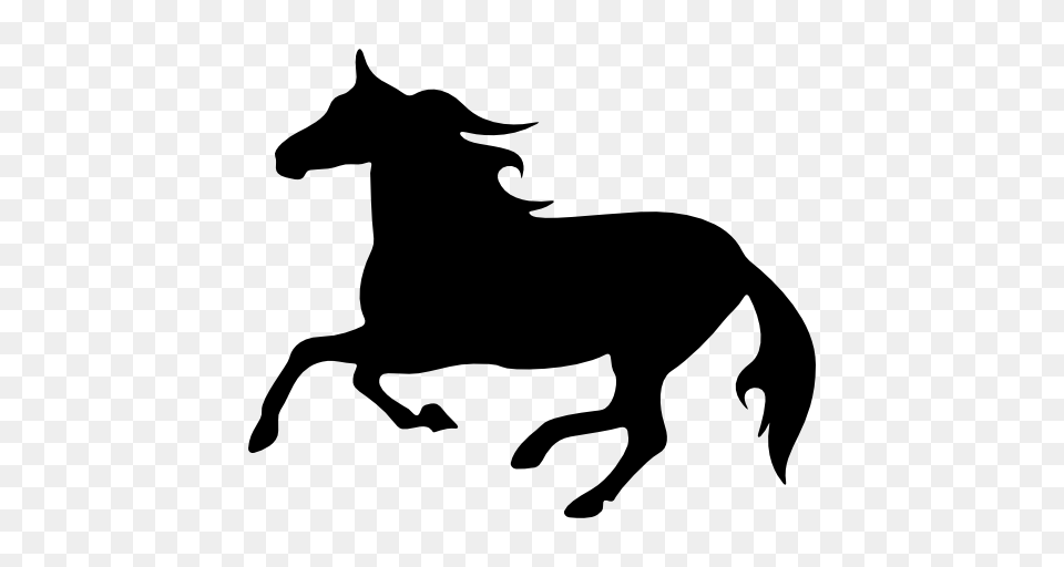 Black Running Animals Horses Silhouette Horse One, Gray Png Image
