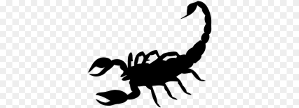 Black Scorpion Tattoo Scorpion Tattoo, Gray Free Transparent Png