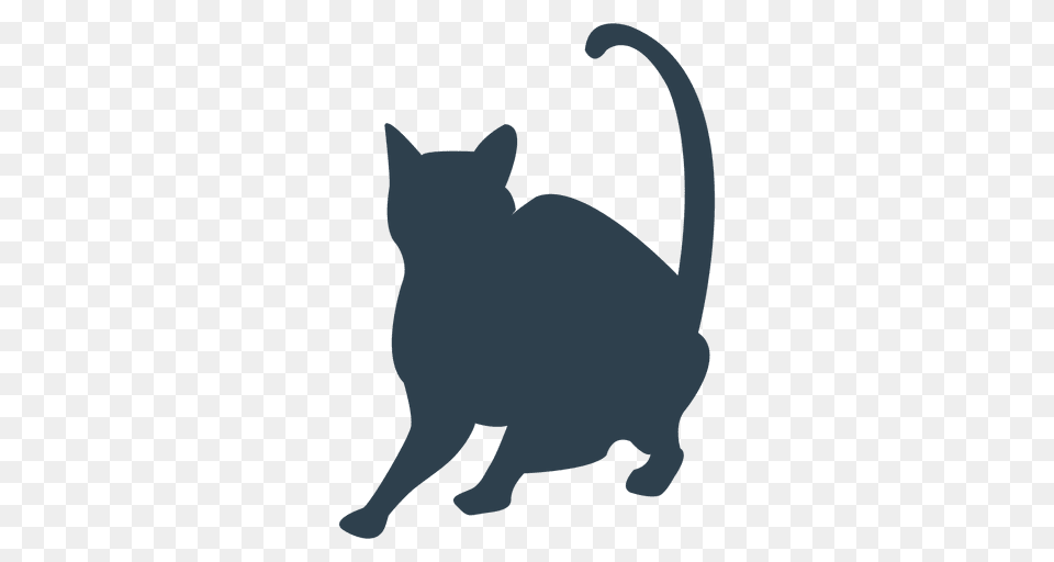 Black Shorthair Cat Silhouette, Animal, Mammal, Pet, Black Cat Png Image
