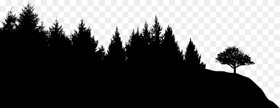 Black Sileohuette Painting Tree Forest Silhouette Background, Conifer, Fir, Pine, Plant Png Image