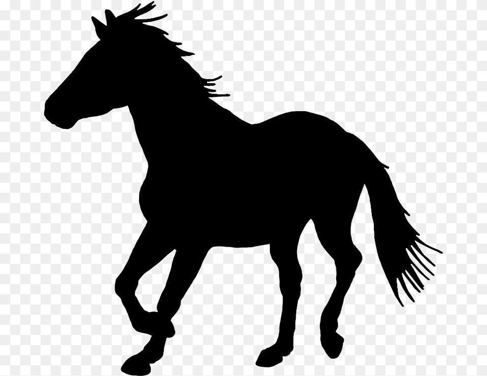 Black Silhouette Of Horse Horse, Gray Free Transparent Png