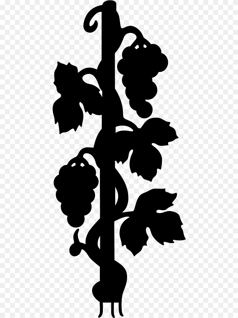 Black Silhouette Wild Photo Types Of Plants For Grade, Gray Free Transparent Png