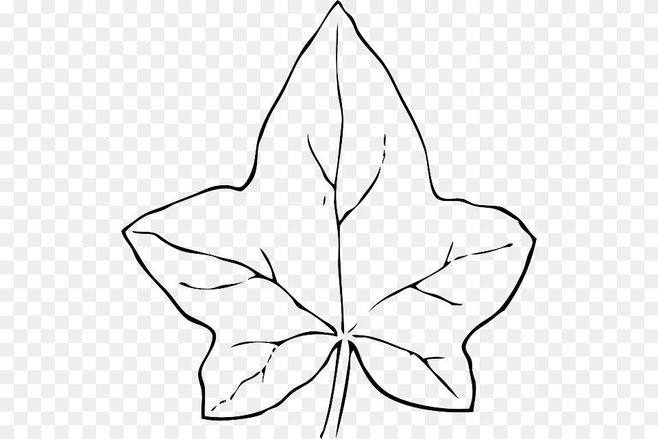 Black Simple Fall Pumpkin Outline Drawing Clipart Pumpkin Leaf, Plant, Maple Leaf, Animal, Fish Free Transparent Png