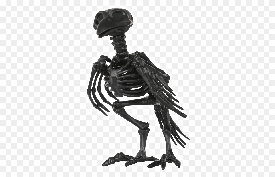Black Skeleton Crow Skeleton Crow, Person Png Image