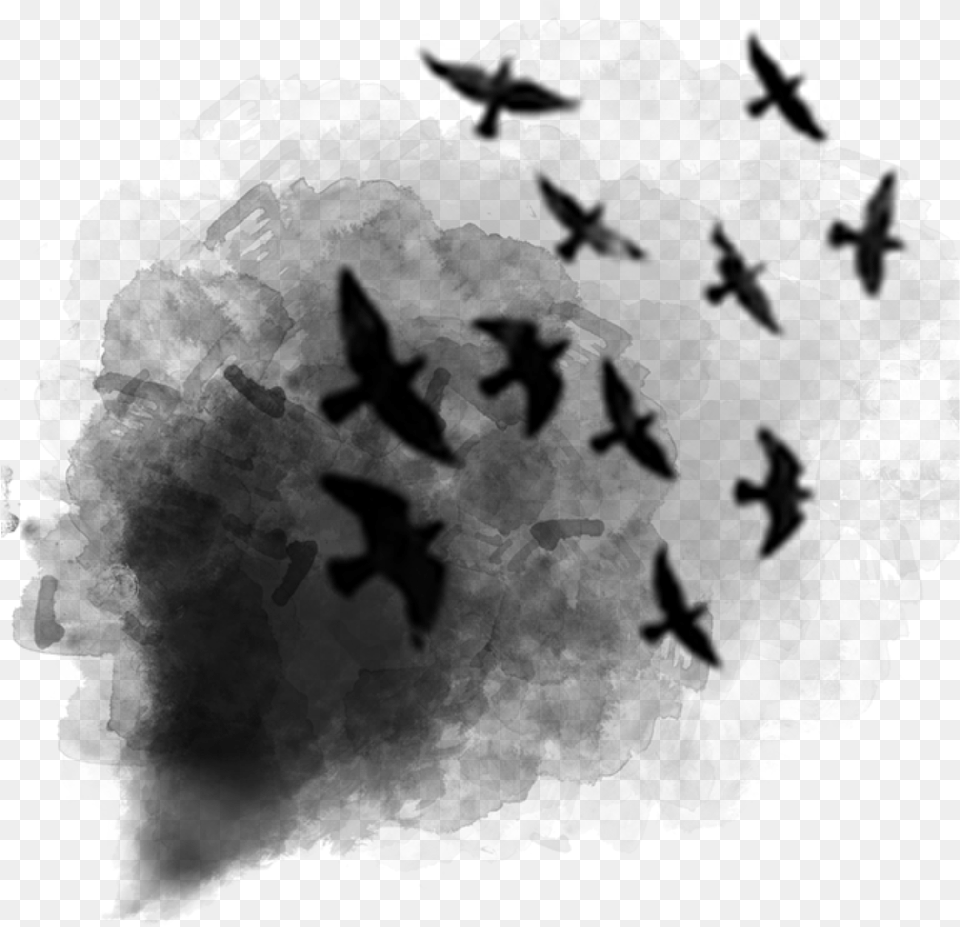 Black Smoke Birds Afterdark Ftestickers Smoke Bird, Gray Free Transparent Png