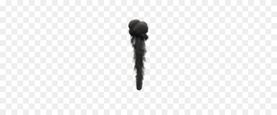 Black Smoke Mushroom Transparent, Person Png Image