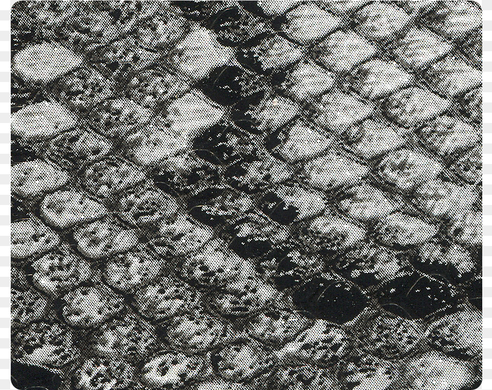 Black Snake Pu Monochrome, Path, Road, Texture, Cobblestone Png Image