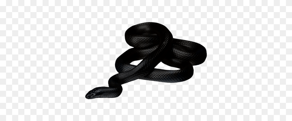 Black Snake Accessories, Bag, Handbag Free Transparent Png