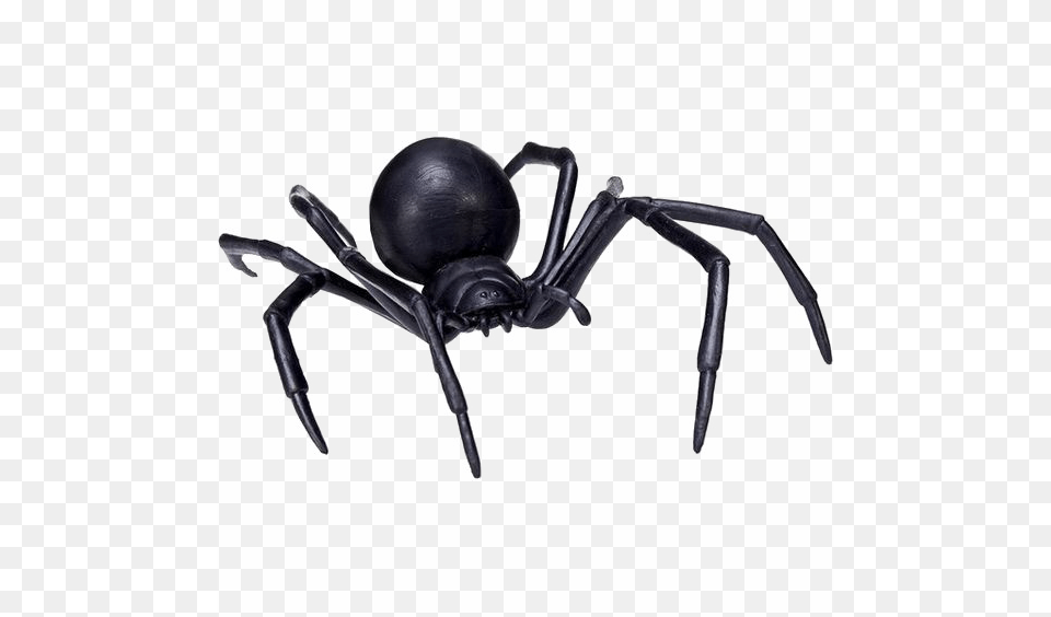 Black Spider Transparent Safari Ltd Safari Ltd Hidden Kingdom Black Widow, Animal, Invertebrate, Black Widow, Insect Free Png