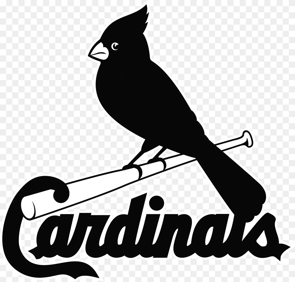 Black St Louis Cardinals Logo, Animal, Bird, Jay, Kangaroo Png