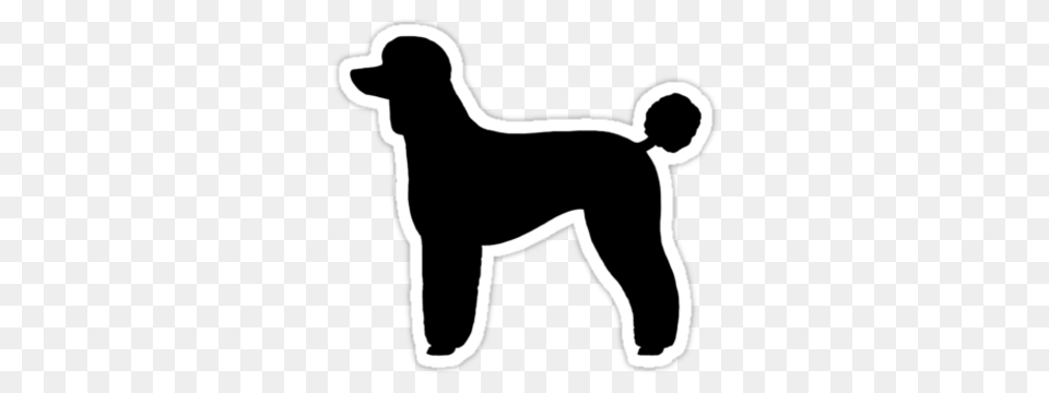 Black Standard Poodle Silhouette, Animal, Pet, Mammal, Electrical Device Free Png Download