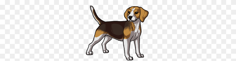 Black Star Kennels Online Dog Game, Animal, Beagle, Canine, Hound Png