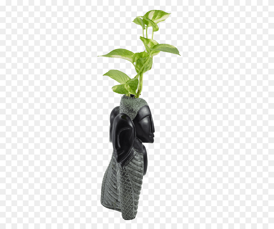 Black Stone Flower Vase, Leaf, Plant, Potted Plant Free Png