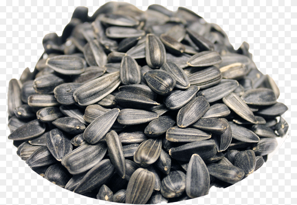 Black Sunflower Seeds Download Play Sunflower Seed, Plant, Food, Produce, Grain Free Transparent Png