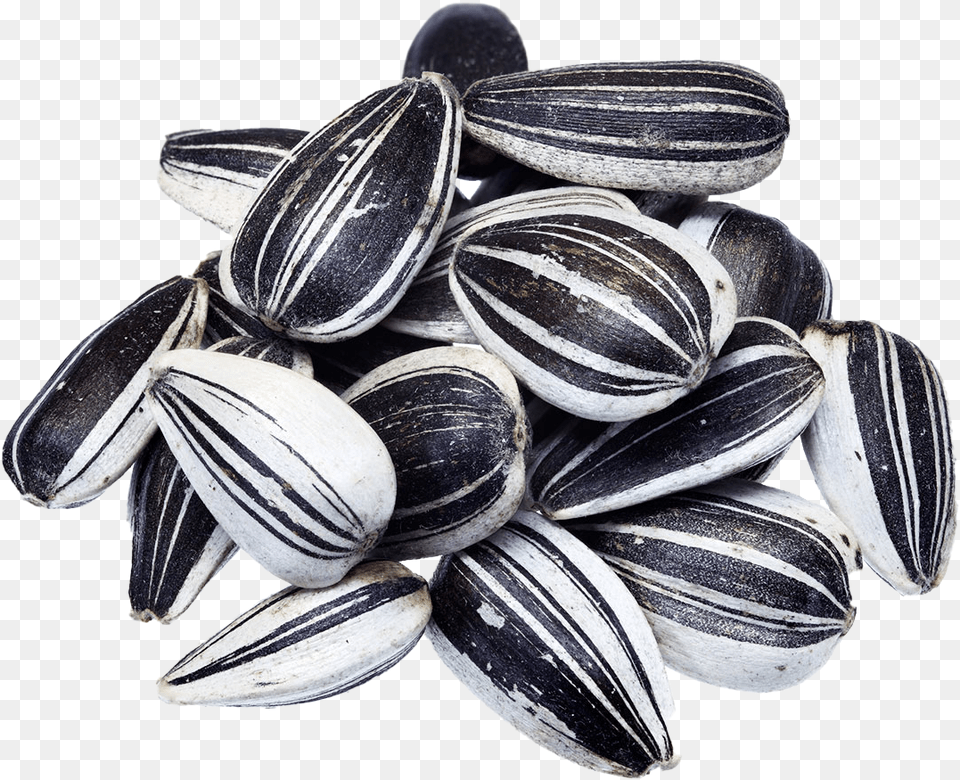 Black Sunflower Seeds Images Hd Play Sunflower Seeds Black And White, Food, Grain, Produce, Animal Free Png Download