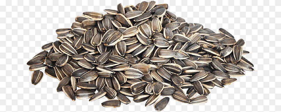 Black Sunflower Seeds Dermalogica Ultracalming Serum Concentrate, Food, Grain, Produce, Seed Free Transparent Png