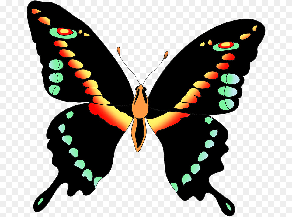 Black Swallow Tail Butterfly Clipart Colorful Beautiful Butterfly Butterfly Clipart, Animal, Insect, Invertebrate Free Png