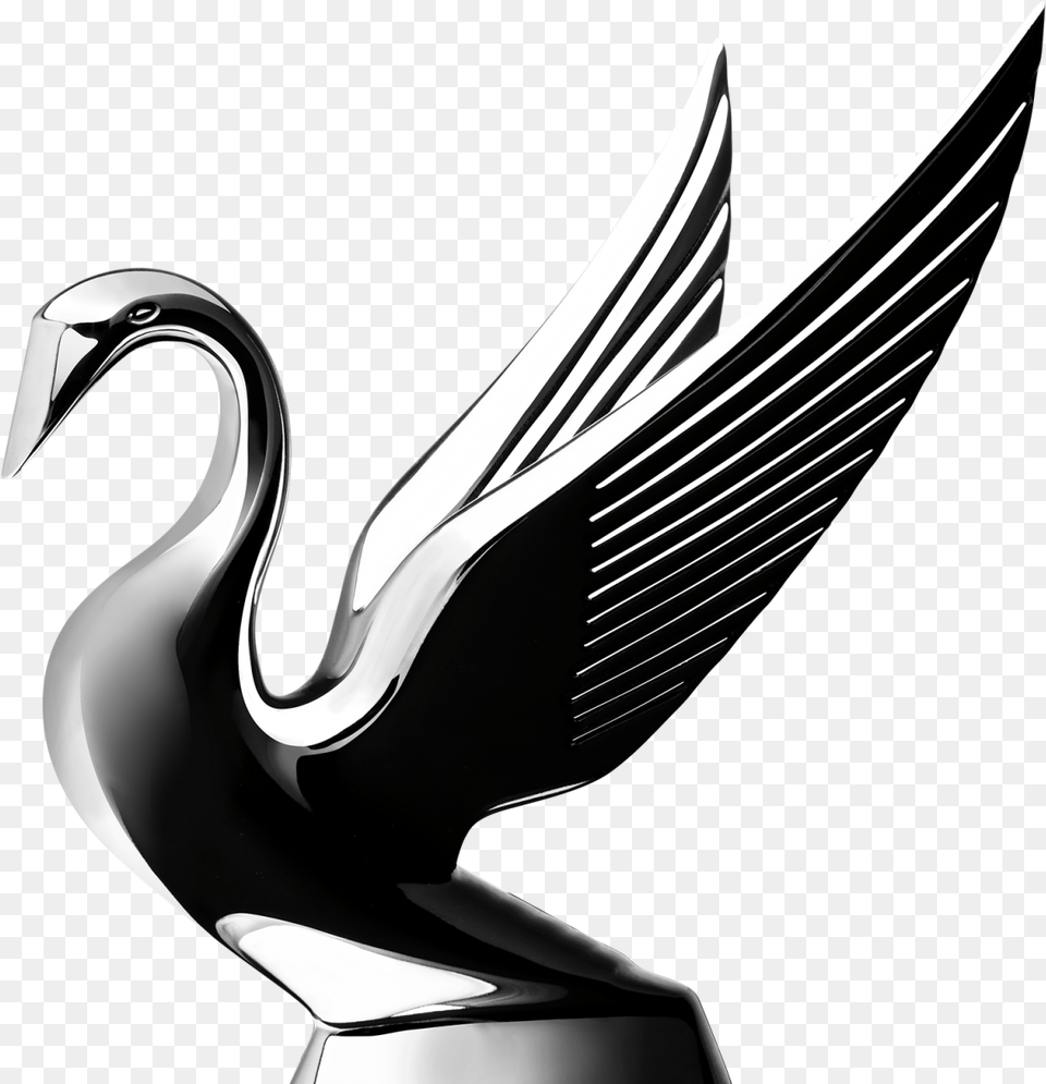 Black Swan, Emblem, Symbol Free Png