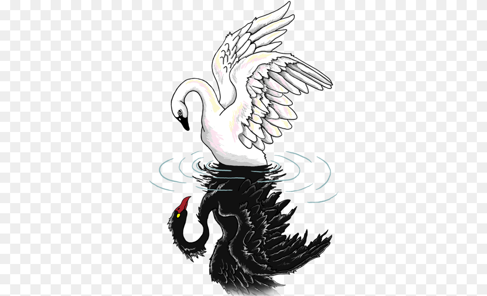Black Swan Black Swan White Swan Tattoo, Animal, Beak, Bird, Waterfowl Png Image