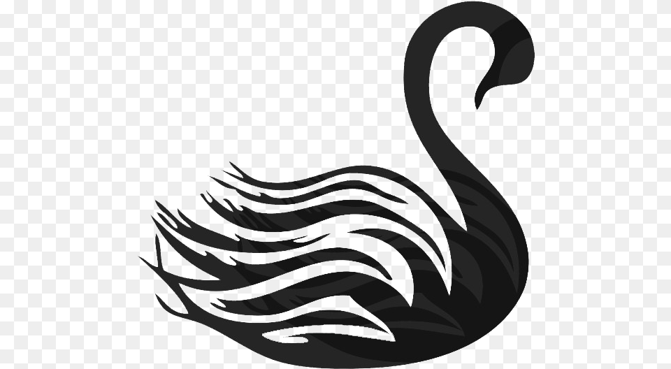 Black Swan Clipart, Animal, Bird Png