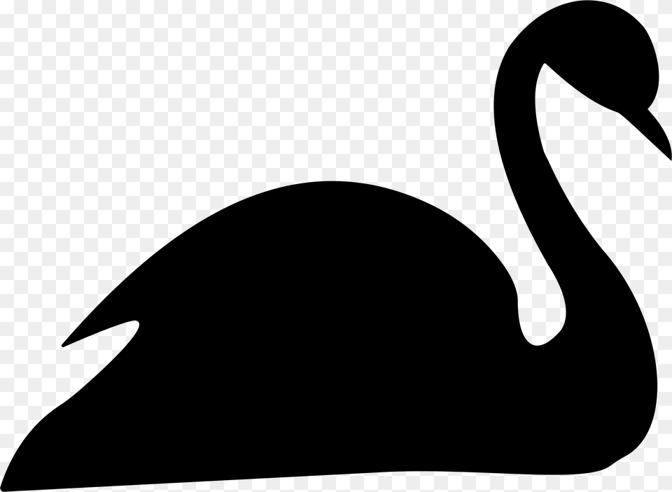Black Swan Clipart, Gray Png Image