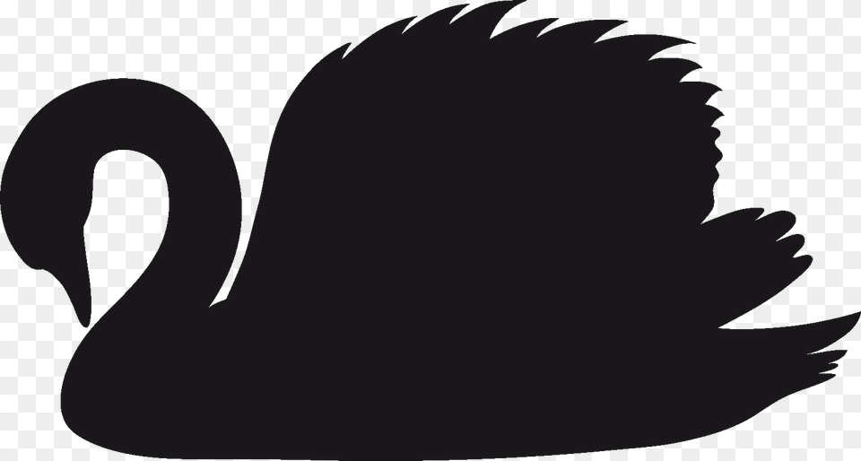 Black Swan Clipart Clip Art, Animal, Bird, Fish, Sea Life Png Image