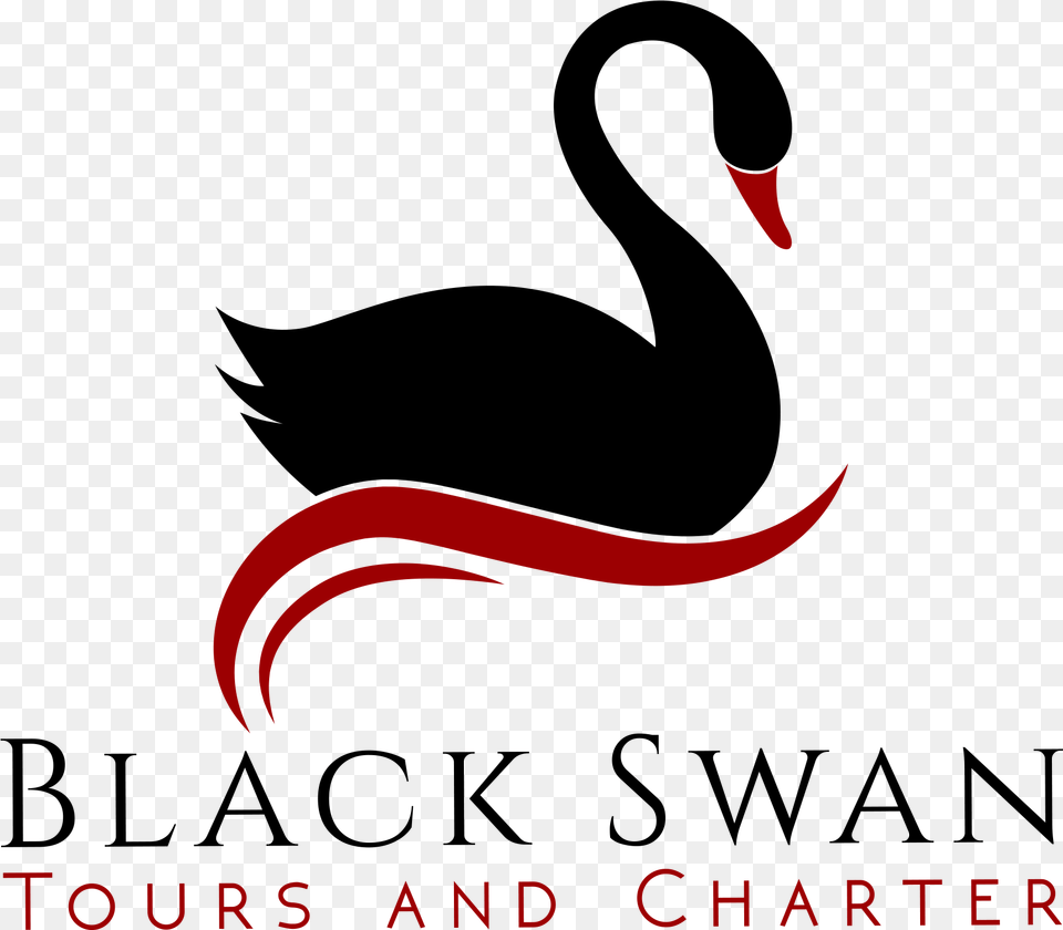 Black Swan Download Black Swan Free Transparent Png