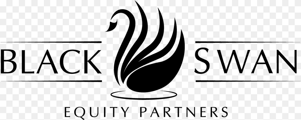 Black Swan Equity Partners Bratislava, Gray Png