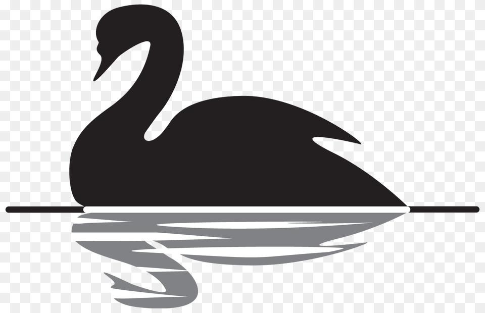 Black Swan Event Picture, Stencil, Animal, Bird, Appliance Free Transparent Png