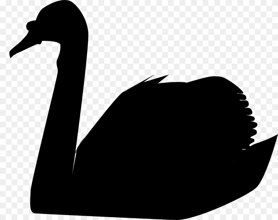 Black Swan In The Data Center Or How To Prepare For A Disaster, Gray Free Png Download