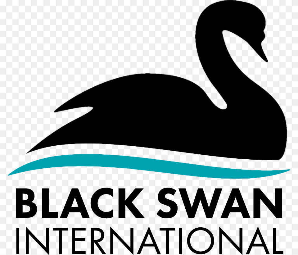 Black Swan International Duck, Sword, Weapon, Nature, Outdoors Png