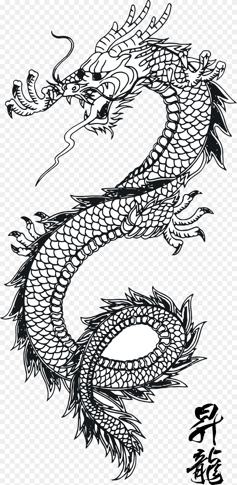 Black Tattoo Dragon, Animal, Fish, Sea Life, Shark Free Png