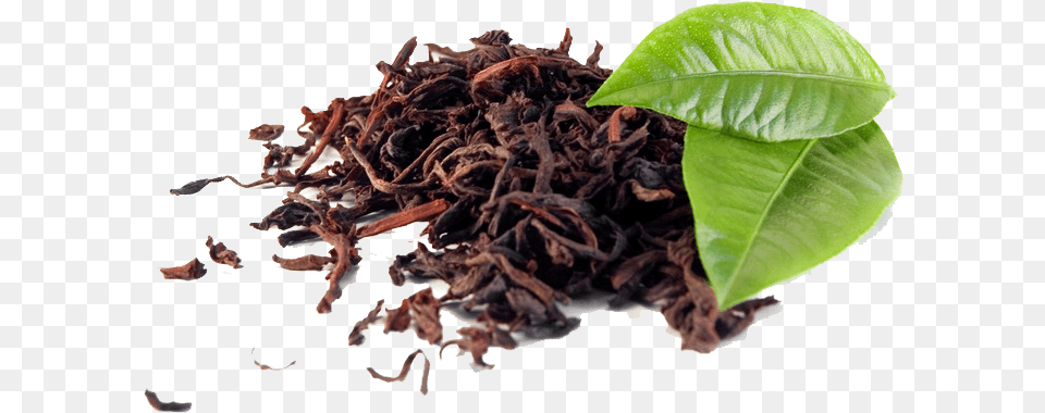 Black Tea Background Tannins In Tea Leaves, Leaf, Plant, Herbal, Herbs Png
