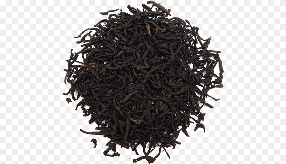 Black Tea Pics Black Tea, Plant Free Png Download