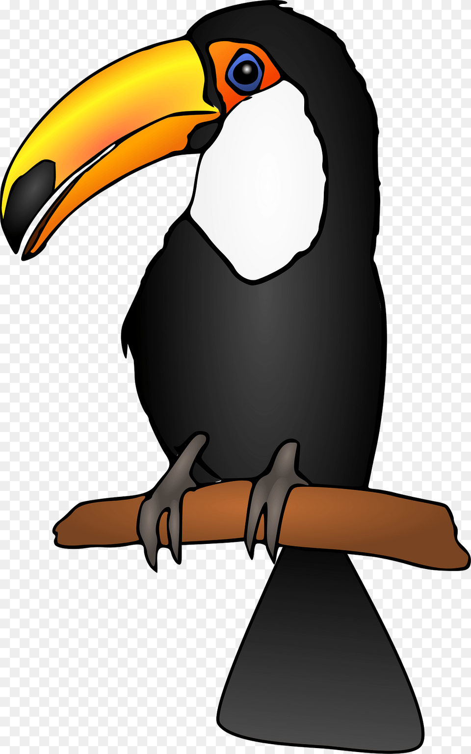 Black Toucan Clipart, Animal, Beak, Bird, Penguin Png