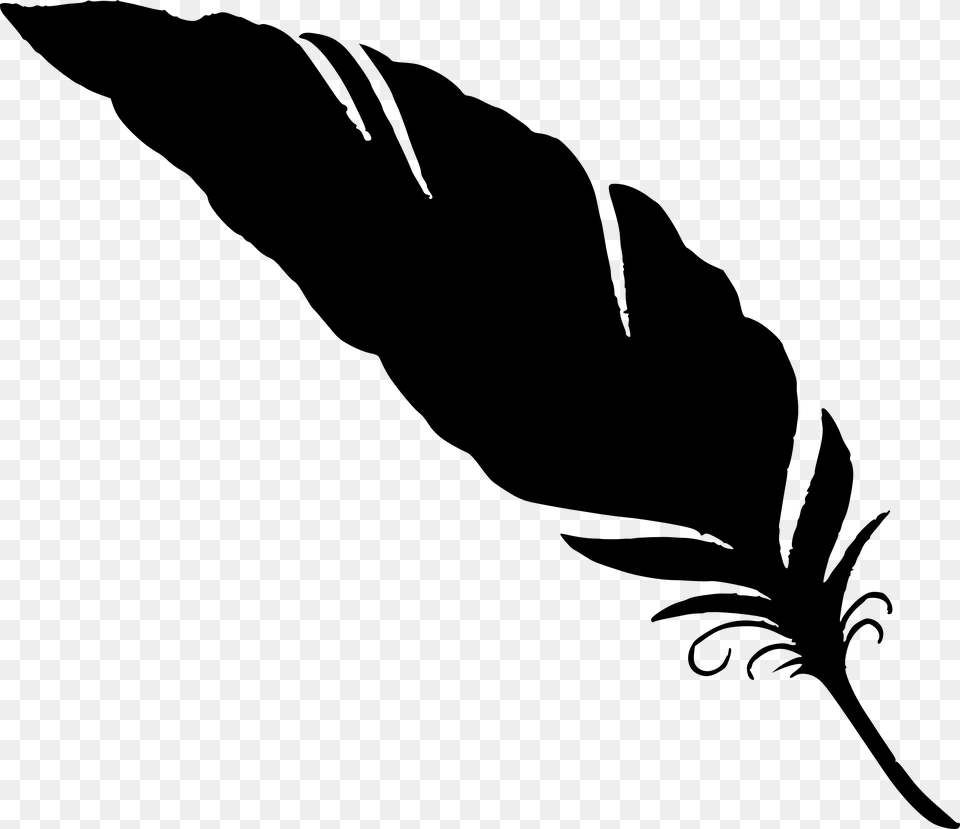 Black Background Feather, Silhouette, Leaf, Plant, Stencil Free Transparent Png