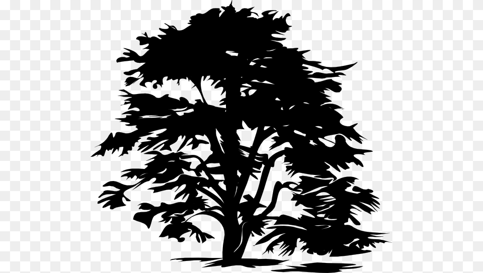 Black Tree Clipart Silhouette, Stencil, Plant, Person Free Transparent Png