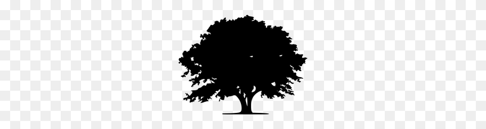 Black Tree Icon, Gray Free Png